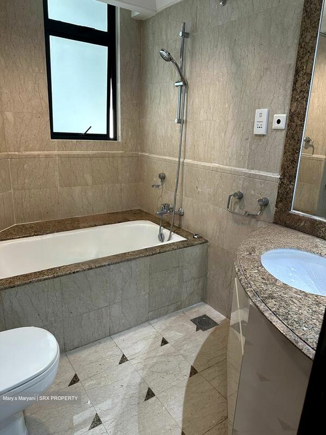 Valley Park (D10), Condominium #584509271